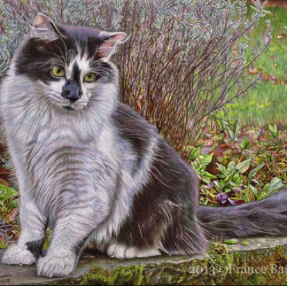 Melvyn -220 days
Daler-Rowney Pastel Paper
12" x 16"
From Laila's 2nd litter Melvyn -220 days
Daler-Rowney Pastel Paper
12" x 16"
From Laila's 2nd litter